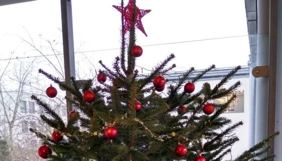 IMG_20251205_091239672_HDR