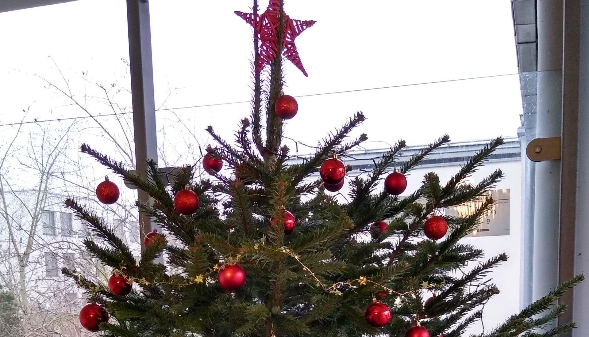 IMG_20251205_091239672_HDR